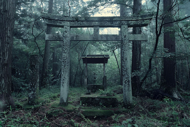 Wisata Horor di Dunia: Tempat-Tempat Menyeramkan yang Wajib Dikunjungi Pecinta Misteri-nexzine.id