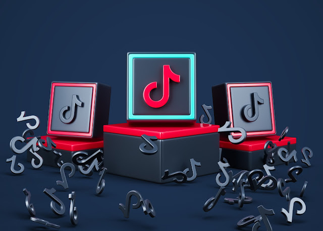 Punya Jutaan Pengikut, Ini 10 Influencer TikTok Paling Populer di Indonesia yang Jarang Diketahui-nexzine.id