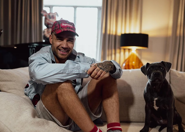 Liam Payne Wariskan Seluruh Kekayaannya Senilai Rp929M untuk Sang Anak-nexzine.id