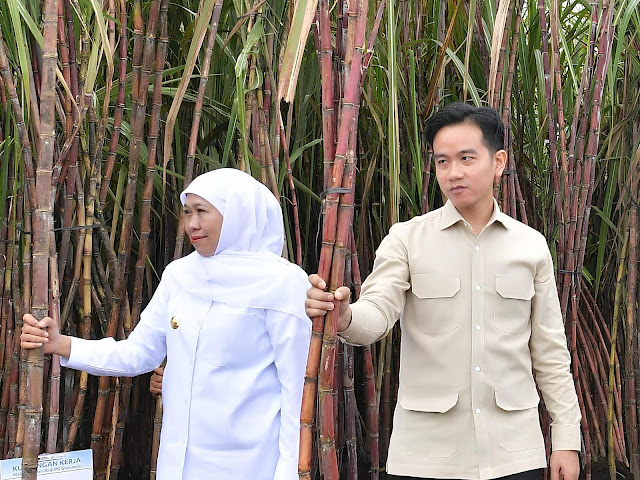 Wapres Gibran Targetkan Swasembada Gula Nasional 2027 di Banyuwangi-nexzine.id