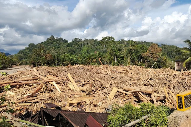 Risiko Banjir Meningkat? Pantau Gambut Ungkap Daftar Perusahaan yang Paling Bertanggung Jawab-nexzine.id Risiko Banjir Meningkat? Pantau Gambut Ungkap Daftar Perusahaan yang Paling Bertanggung Jawab-nexzine.id