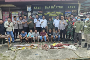 Pelaku Perburuan Harimau Sumatera di Rokan Hulu Ditangkap