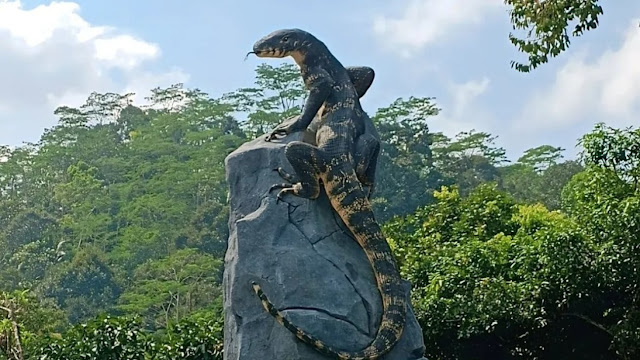 Tugu Biawak Rp50 Juta Viral, Publik Bandingkan dengan Patung Penyu Rp15 Miliar yang Rusak