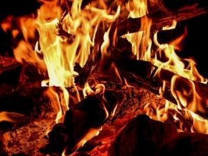Cemburu Istri Diduga Selingkuh Sesama Jenis, Pria di Jakarta Selatan Bakar Rumah hingga Ludes