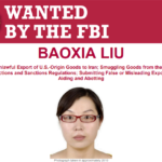 Sosok Baoxia Liu, Buronan FBI Asal China di Balik Skandal Pengiriman Persenjataan Militer ke Iran
