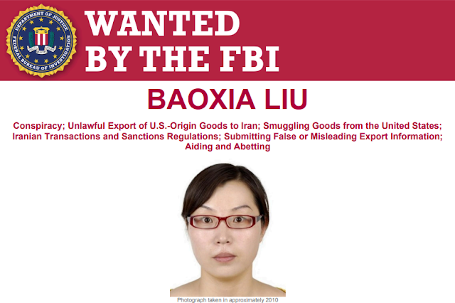 Sosok Baoxia Liu, Buronan FBI Asal China di Balik Skandal Pengiriman Persenjataan Militer ke Iran