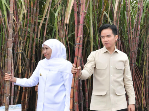 Wapres Gibran Targetkan Swasembada Gula Nasional 2027 di Banyuwangi