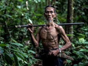 Misteri Hutan Kalimantan Bakal Bikin Kamu Terkejut Sekaligus Penasaran