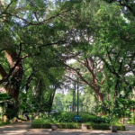 Tempat Wisata Gratis di Jakarta buat Liburan Hemat dan Seru