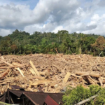 Risiko Banjir Meningkat? Pantau Gambut Ungkap Daftar Perusahaan yang Paling Bertanggung Jawab