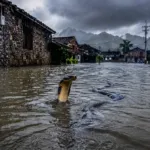 Ratusan ular kobra dan spesies ular lainnya kabur dari peternakan yang hanyut akibat banjir besar di Guangxi China.