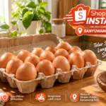 Shopee Telur Banyuwangi menyediakan telur ayam segar berkualitas dengan pengiriman instan langsung ke rumah.